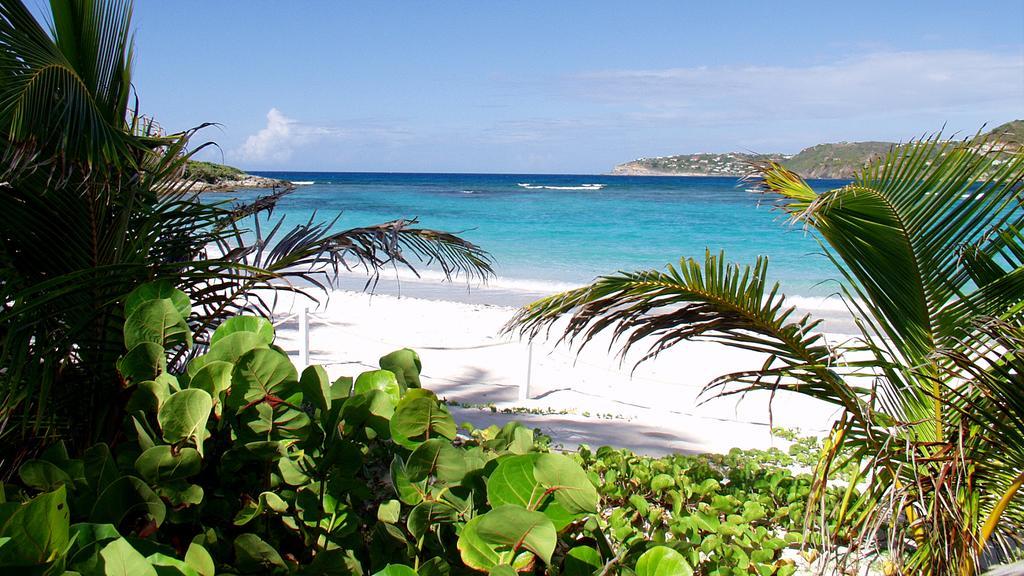Tropical Hotel St Barth Gustavia Dış mekan fotoğraf